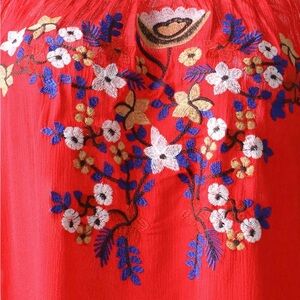 Red Floral Embroidered dress